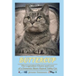 Buttercup - The Legendary Charm and Love of a Domestic Short-Haired Tabby Cat - Hardcover