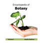 Encyclopedia of Botany: Volume I - Hardcover