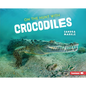 On the Hunt with Crocodiles - Library Binding