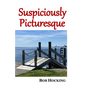 Suspiciously Picturesque - Paperback