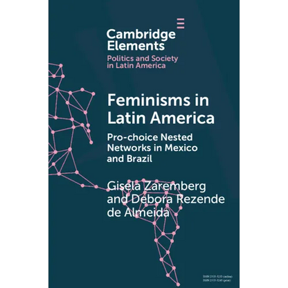 Feminisms in Latin America - Paperback