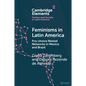 Feminisms in Latin America - Paperback