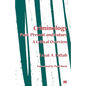 Criminology: Past, Present and Future: A Critical Overview - Paperback