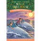 Dolphins at Daybreak - Paperback