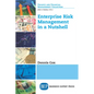 Enterprise Risk Management in a Nutshell - Paperback