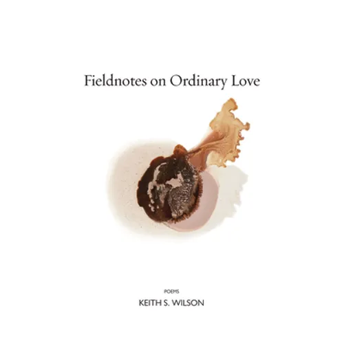 Fieldnotes on Ordinary Love - Paperback