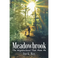 Meadowbrook: The Neighborhood That Made Me - Paperback