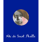 Niki de Saint Phalle - Hardcover
