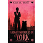 A Right Shambles in York: Magic, menace, & snark in a Yorkshire Urban Fantasy - Paperback