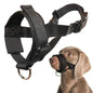 Dog Muzzle for Small Medium Large Dogs Anti Biting Barking Chewing with Soft Padding and Adjustable Loop