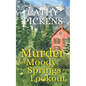 MURDER AT MOODY SPRINGS LOOKOUT a Blue Ridge Mountain Mystery Book 4 - Paperback