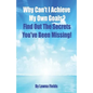Why Can't I Achieve My Own Goals?: Find Out the Secrets You've Been Missing! - Paperback