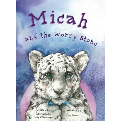 Micah and the Worry Stone - Hardcover