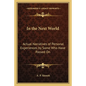 In the Next World: Actual Narratives of Personal Experiences by Some Who Have Passed On - Paperback