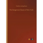 The Dangerous Classes of New York - Paperback