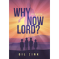 Why Now Lord?: God in Action - Hardcover