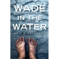 Wade in the Water: Following the Sacred Stream of Baptism - Hardcover