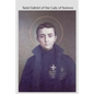 Saint Gabriel of Our Lady of Sorrows: Passionist A Youthful Hero of Sanctity - Paperback