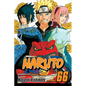 Naruto, Vol. 66 - Paperback