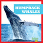 Humpback Whales - Paperback