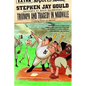 Triumph and Tragedy in Mudville: A Lifelong Passion for Baseball - Paperback