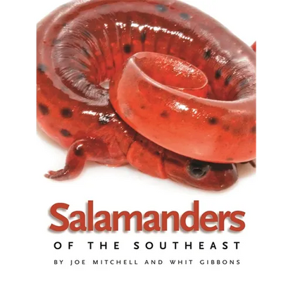 Salamanders of the Southeast - Paperback
