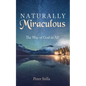 Naturally Miraculous: The Way of God as All - Paperback