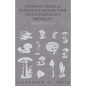 Common Edible and Poisonous Mushrooms of Southeastern Michigan - Paperback