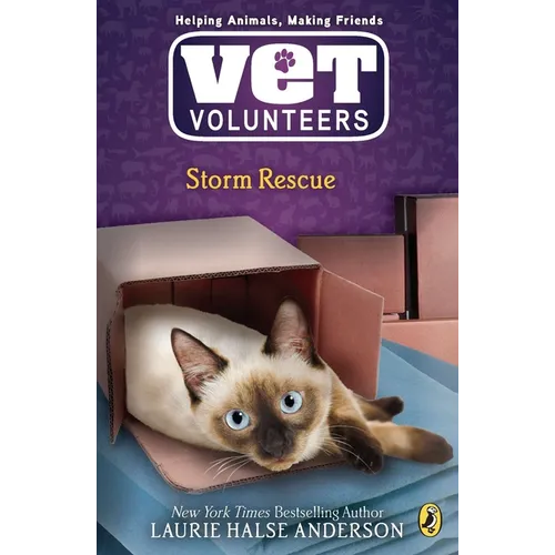 Storm Rescue - Paperback