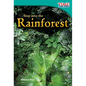 Step into the Rainforest - Paperback