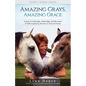 Amazing Grays, Amazing Grace: Lessons in Leadership, Relationship, and the Power of Faith Inspired By the Love of God and Horses - Paperback