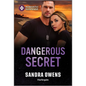 Dangerous Secret - Paperback
