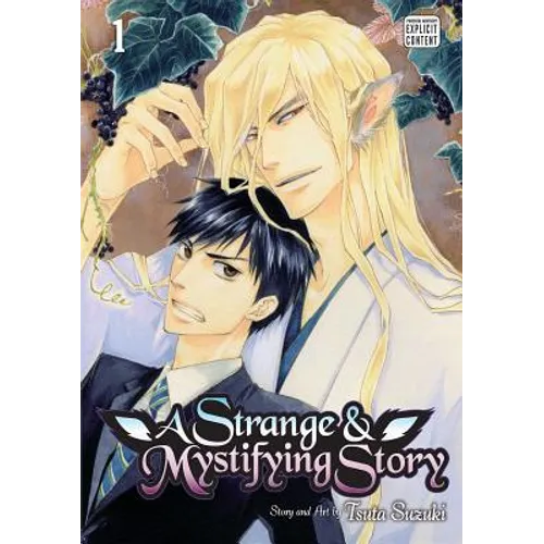 A Strange & Mystifying Story, Vol. 1 - Paperback