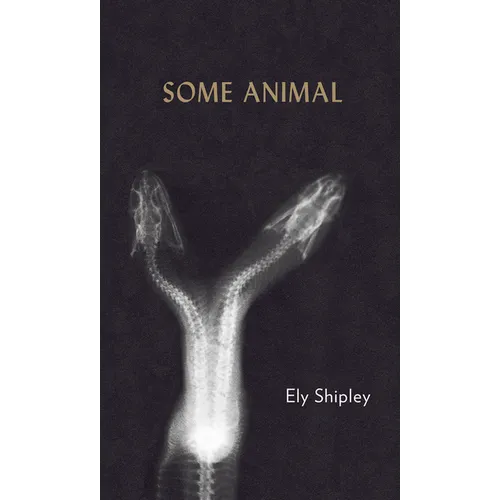 Some Animal - Paperback