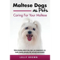 Maltese Dogs as Pets: Maltese breeding, where to buy, types, care, temperament, cost, health, showing, grooming, diet, and much more include - Paperback