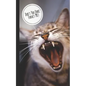 Don't You Dare Forget Me!: Discreet Internet Password Keeper - Store Websites, Usernames, Passwords - Funny Gift Kitten/Cat Lovers - Paperback