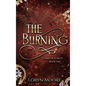 Diary of a Deity - The Burning - Hardcover