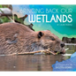 Bringing Back Our Wetlands - Library Binding