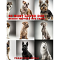 50 Most Loved Dog Breeds: Photos & Fun Facts - Paperback