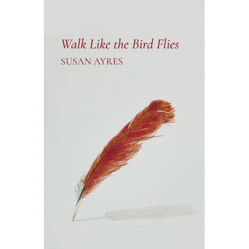 Walk Like the Bird Flies - Paperback