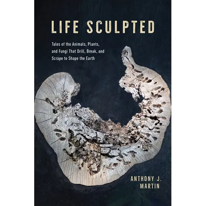 Life Sculpted: Tales of the Animals, Plants, and Fungi That Drill, Break, and Scrape to Shape the Earth - Hardcover