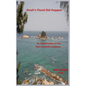 Noah's Flood Did Take Place: An Examination of the Non Scientific Evidence - Paperback