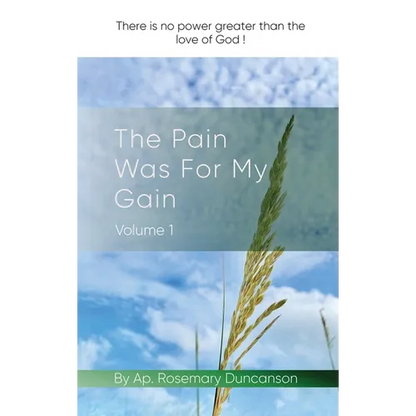 The Pain Was For My Gain - Hardcover