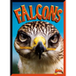 Falcons - Library Binding
