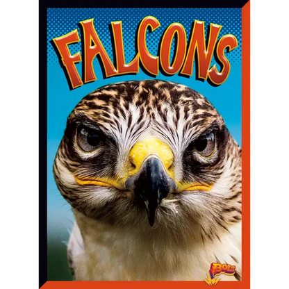 Falcons - Library Binding