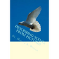 Describing Scenes from Pictures - Paperback