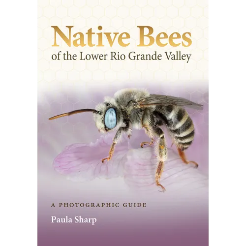 Native Bees of the Lower Rio Grande Valley: A Photographic Guide - Paperback