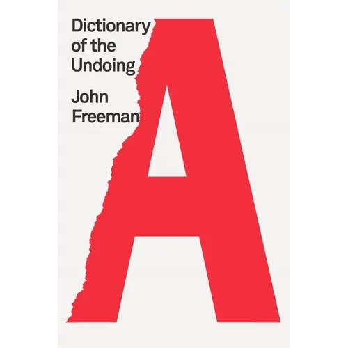 Dictionary of the Undoing - Paperback