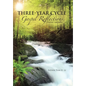 Three-Year Cycle Gospel Reflections: Practical Approaches - Hardcover