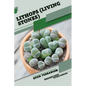 Lithops (Living Stones): Open terrarium, Beginner's Guide - Paperback